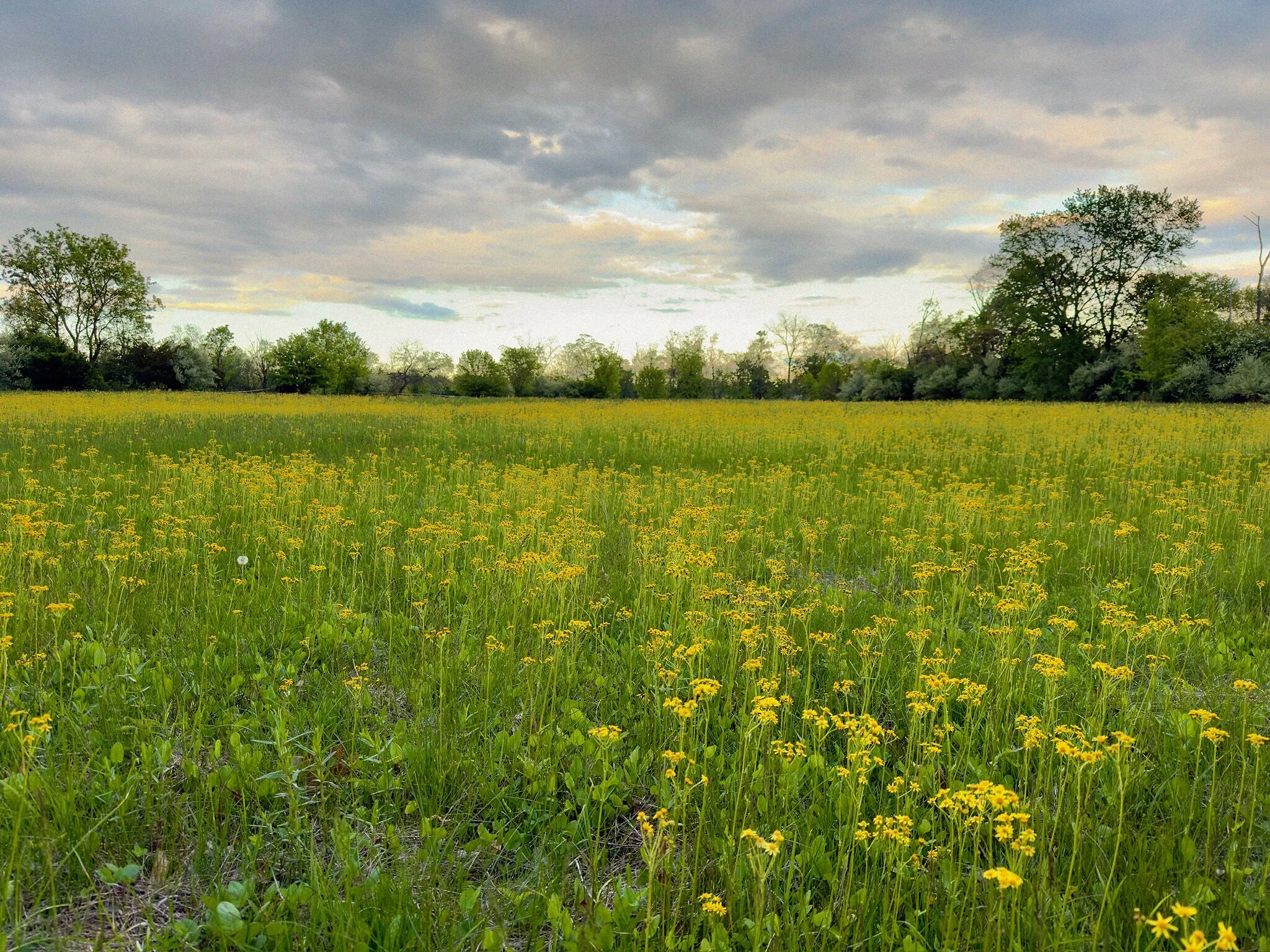 Wrightstown, Pennsylvania · April 30, 2026