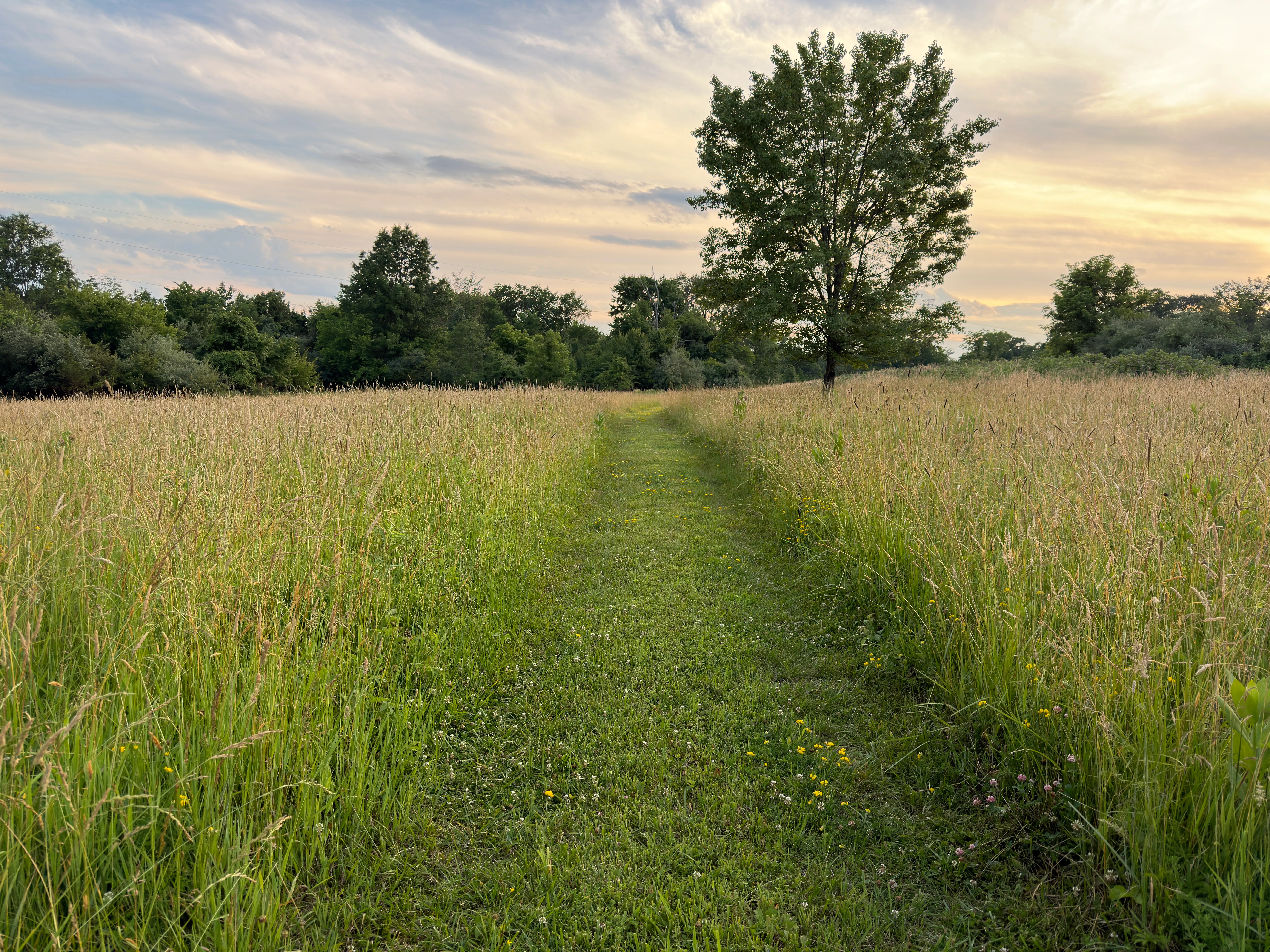 Wrightstown, Pennsylvania · June 17, 2026