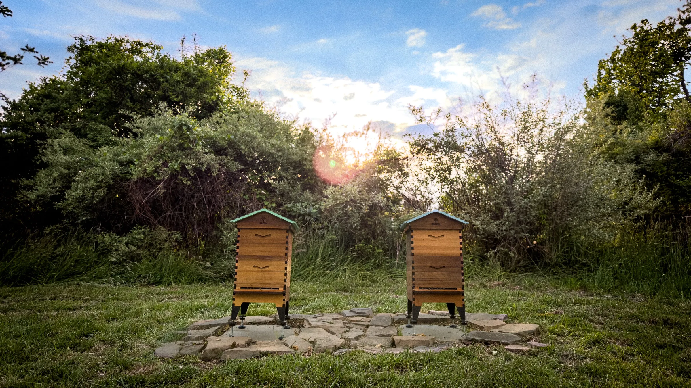 The hives at Bucks County, Pennsylvania