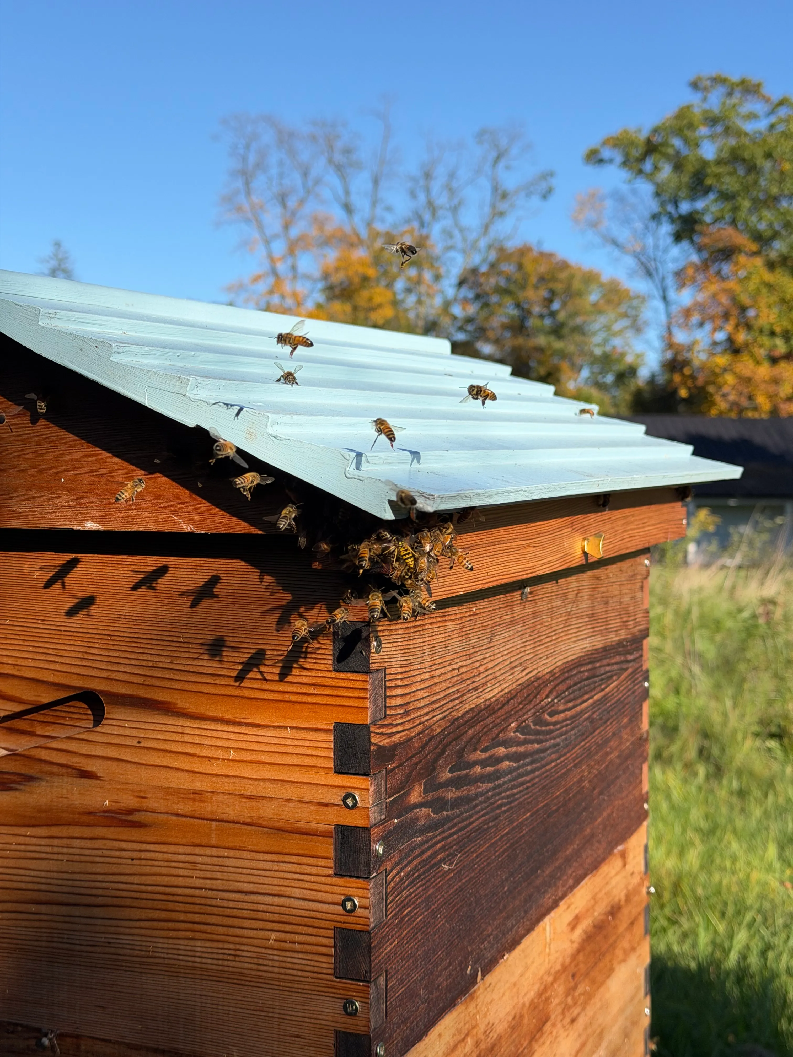 Hive update · October 18, 2026