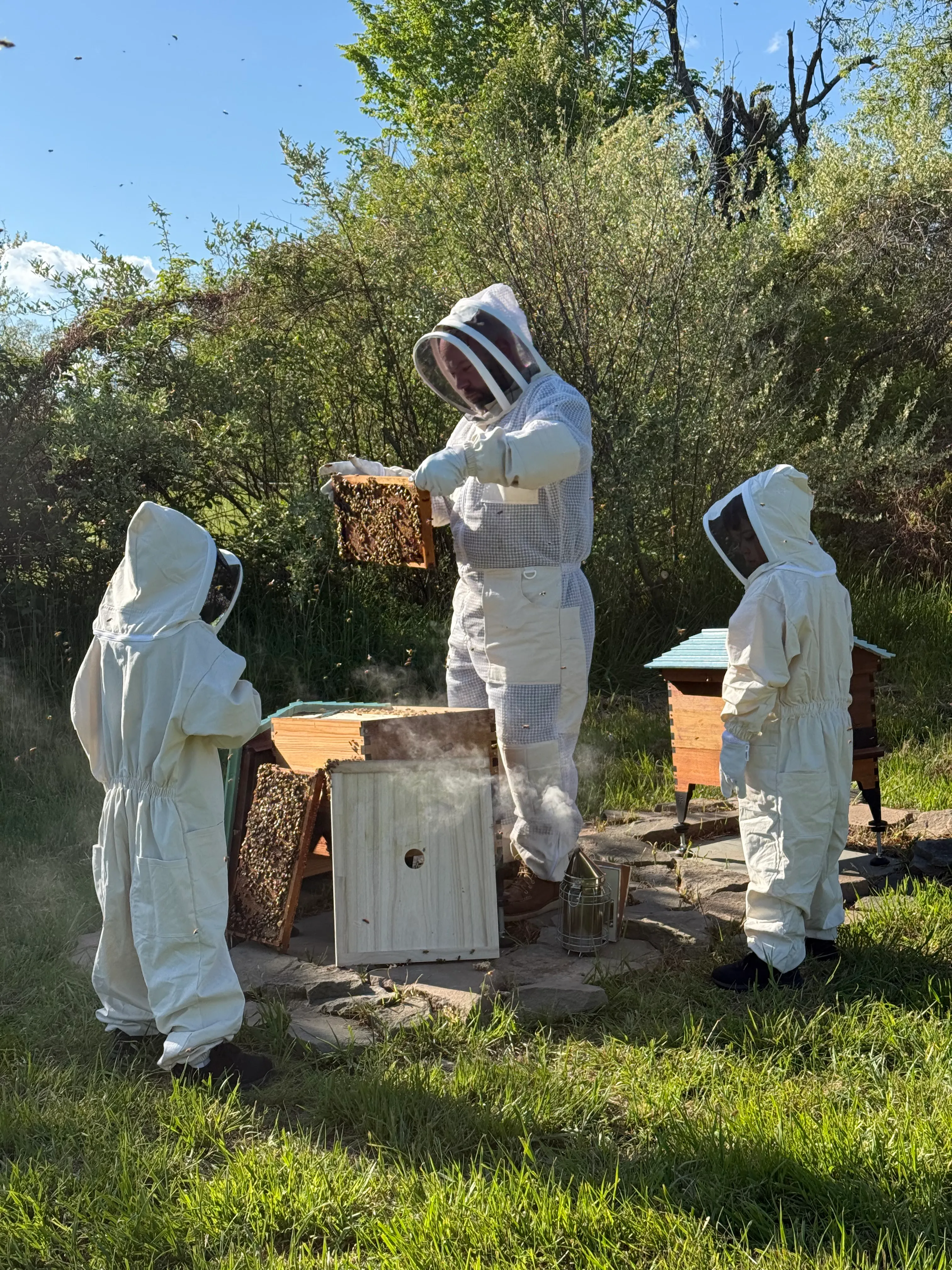 Hive update · May 3, 2026