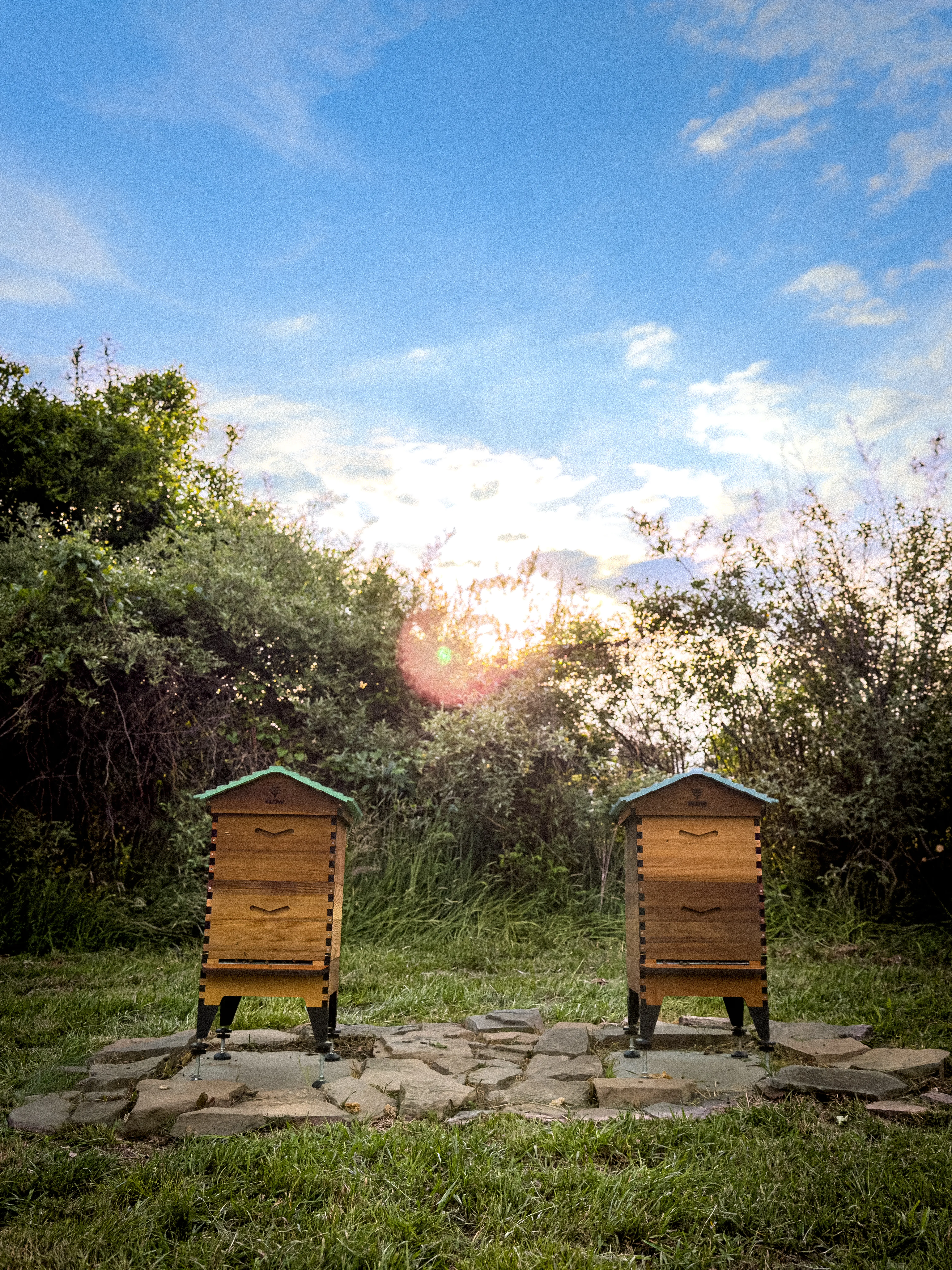 Hive update · May 16, 2026