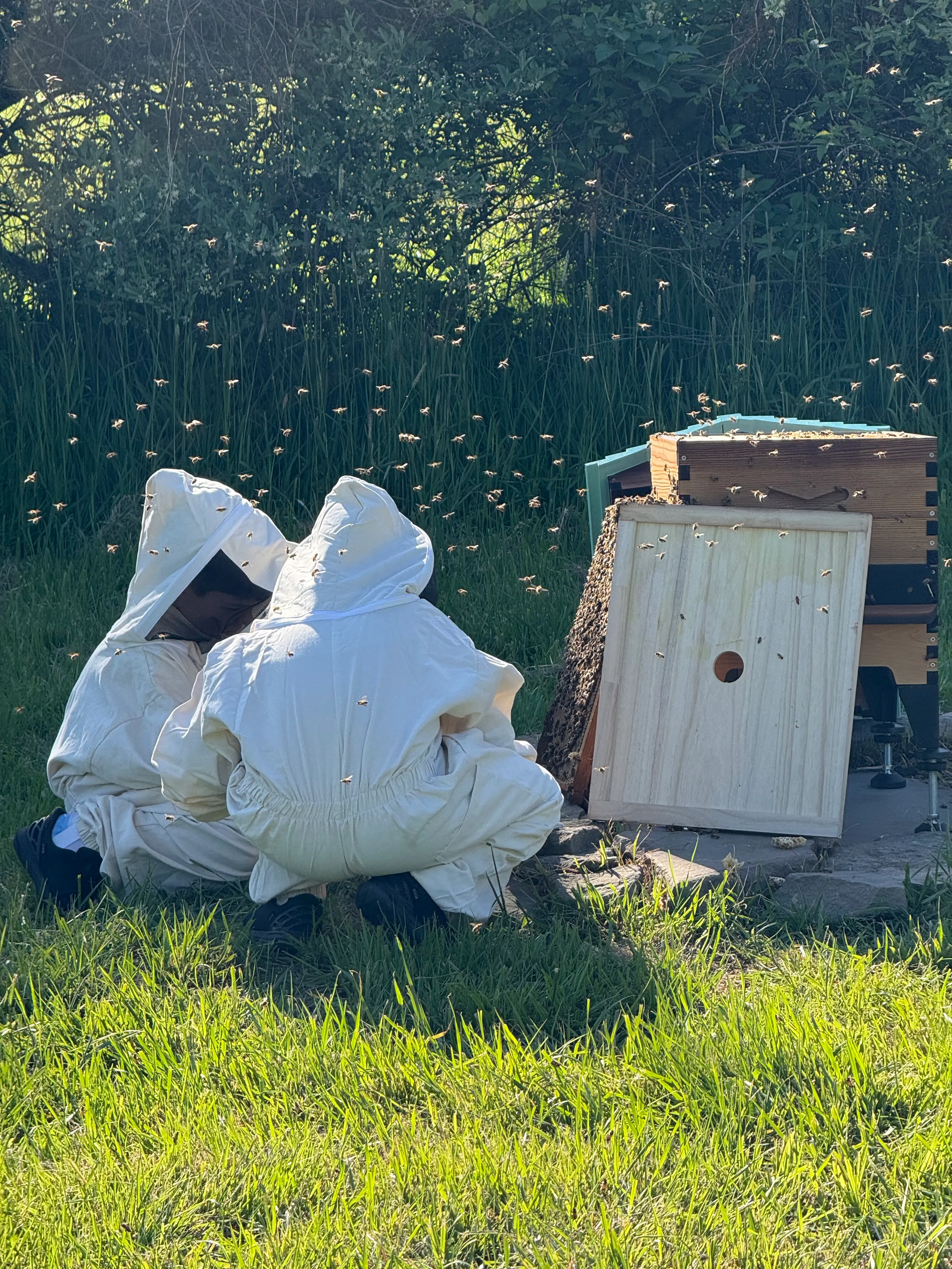 Hive update · May 3, 2026