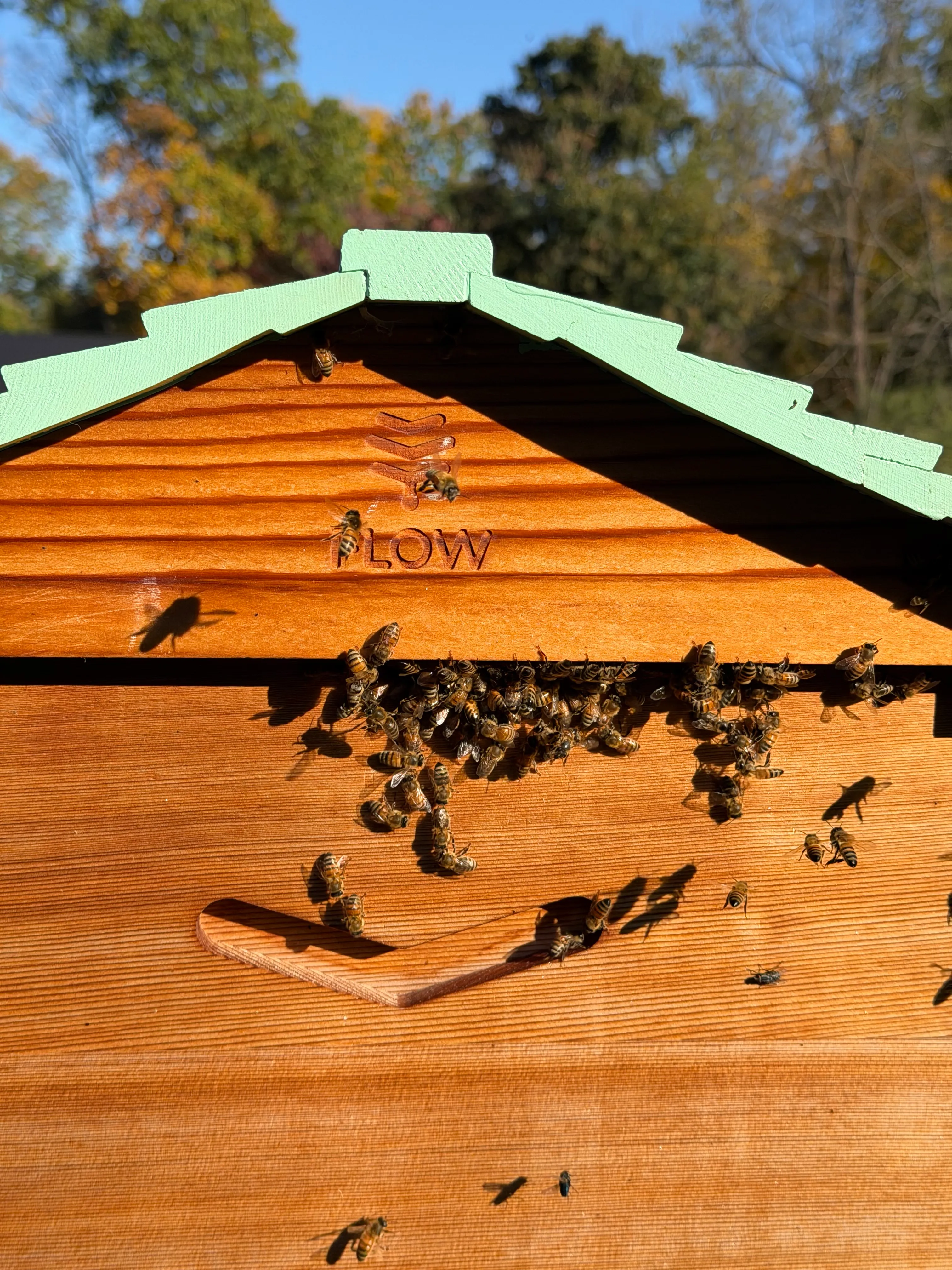 Hive update · October 18, 2026
