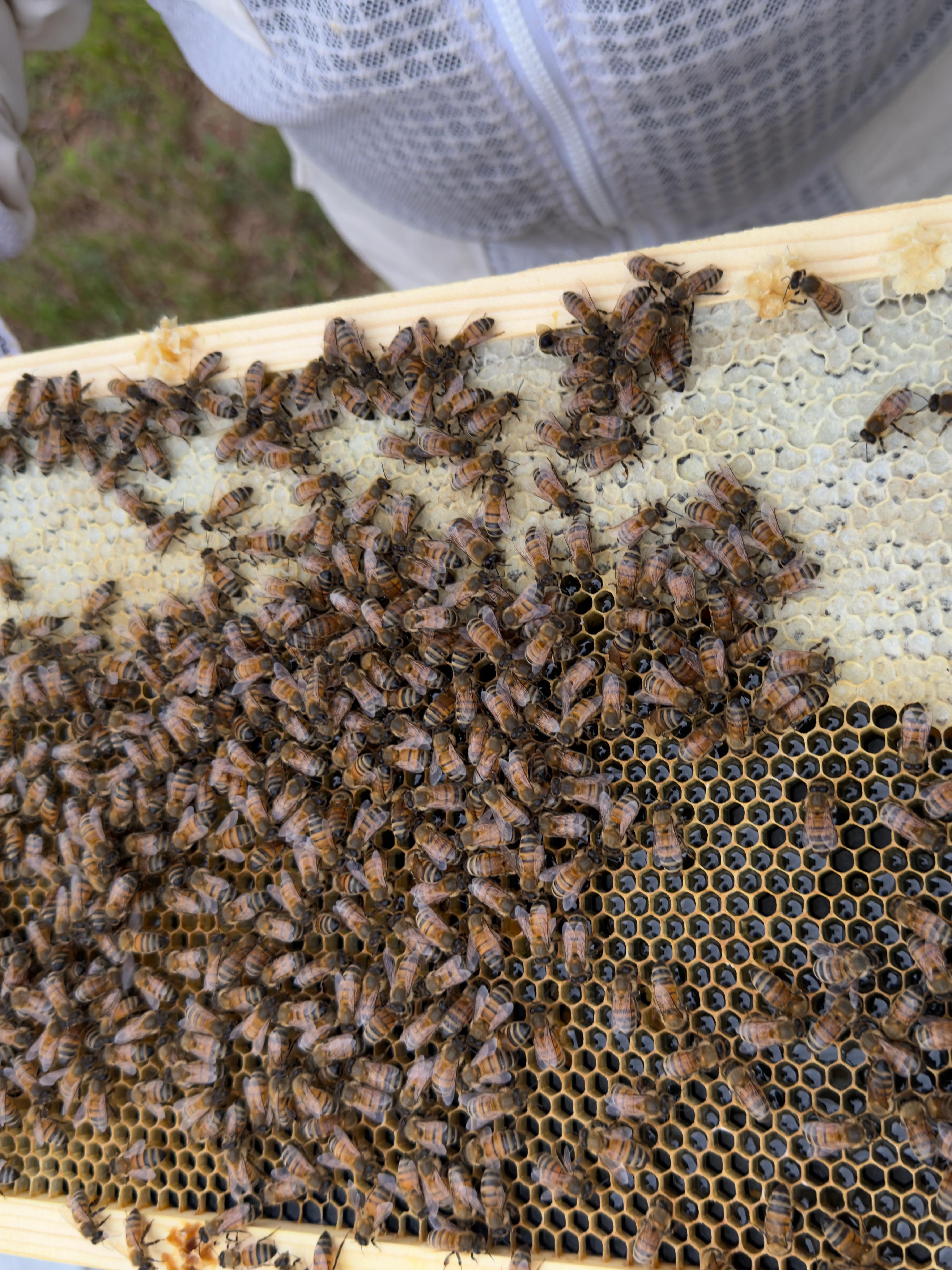 Hive update · June 27, 2026
