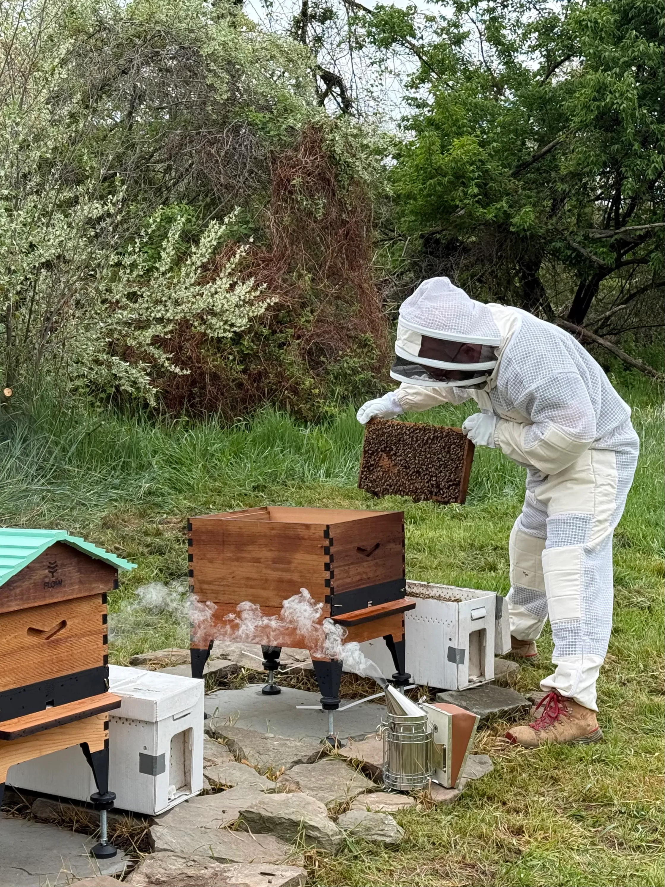 Hive update · April 26, 2026