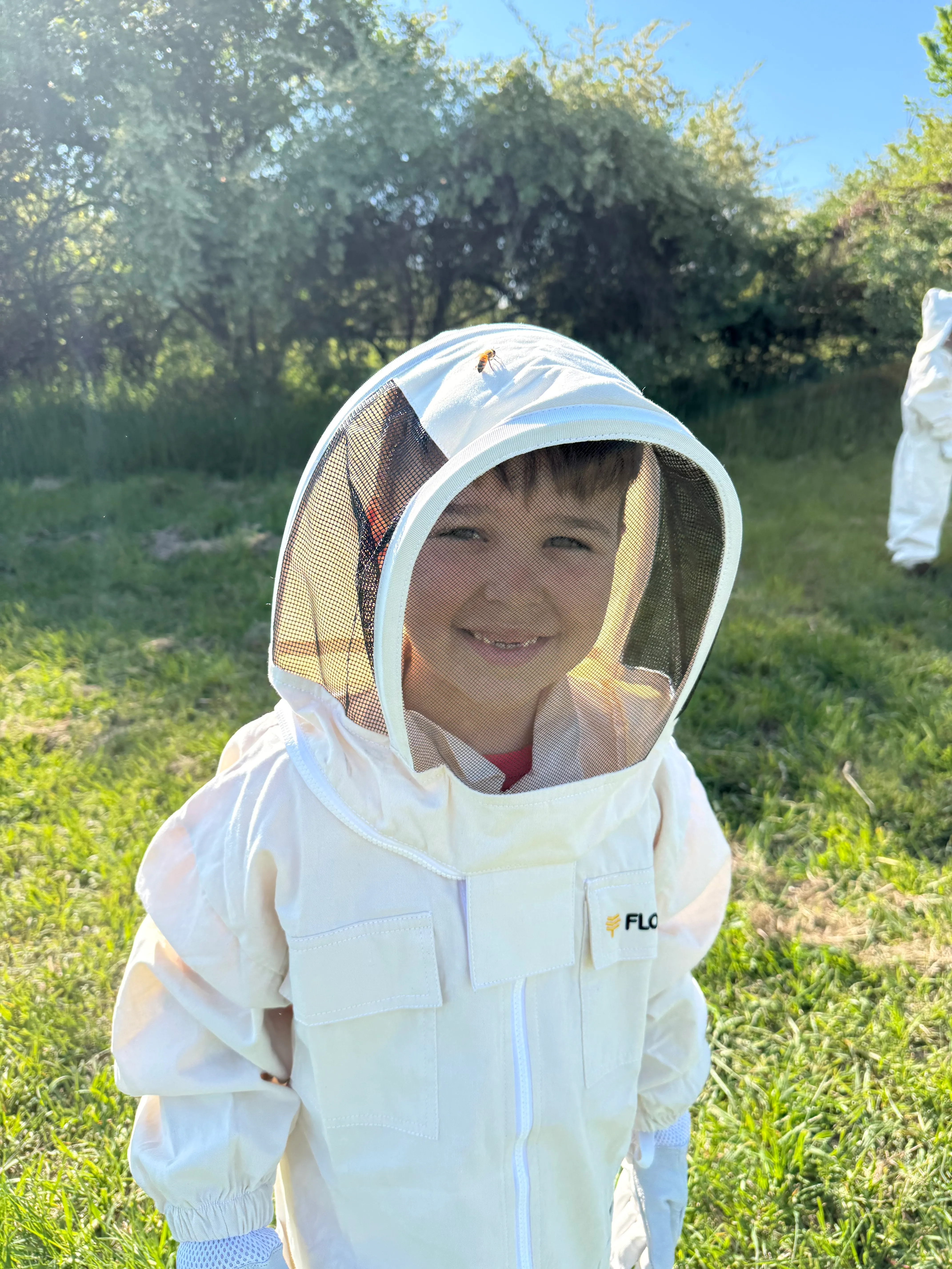 Hive update · May 16, 2026