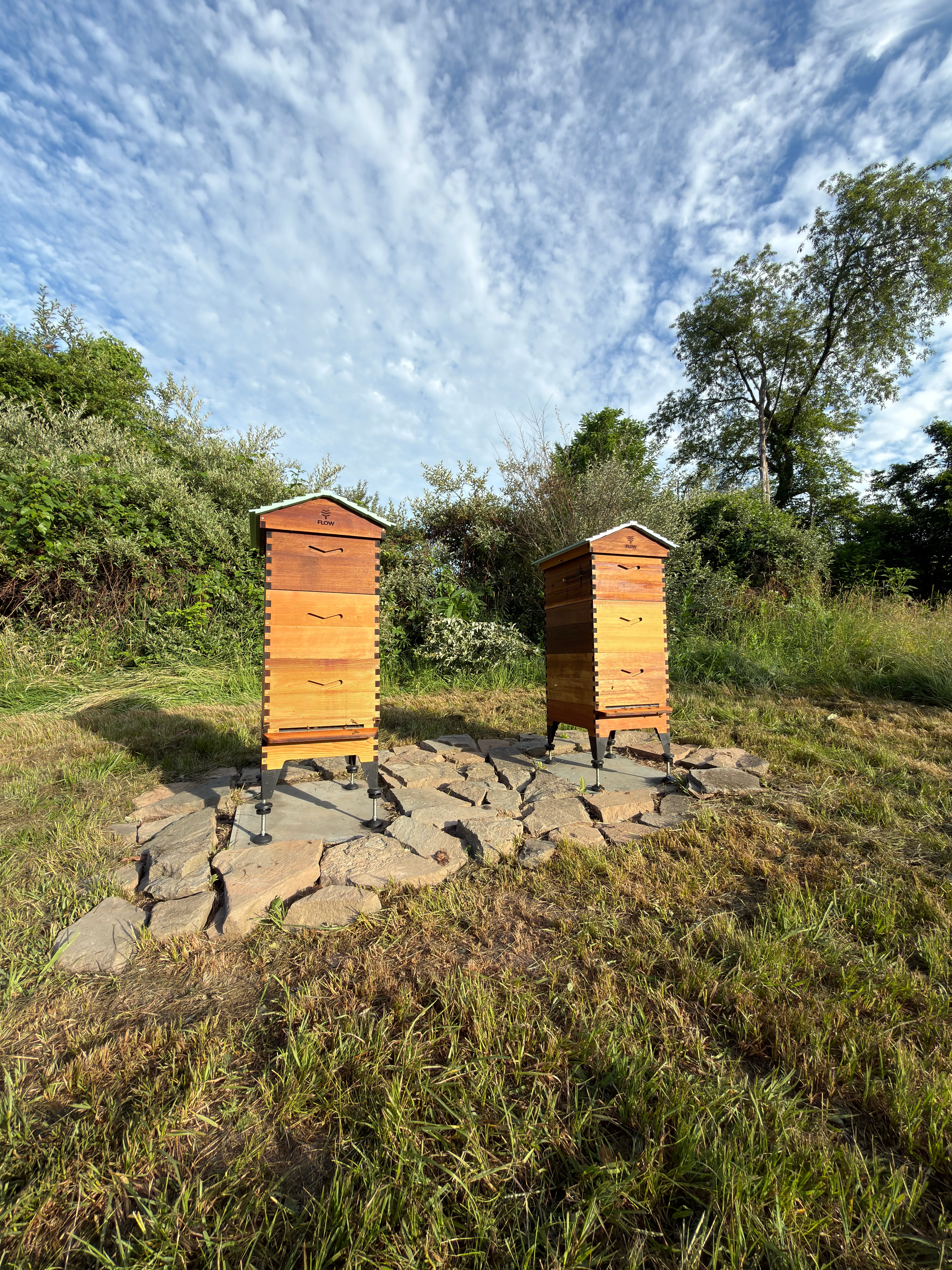 Hive update · June 14, 2026