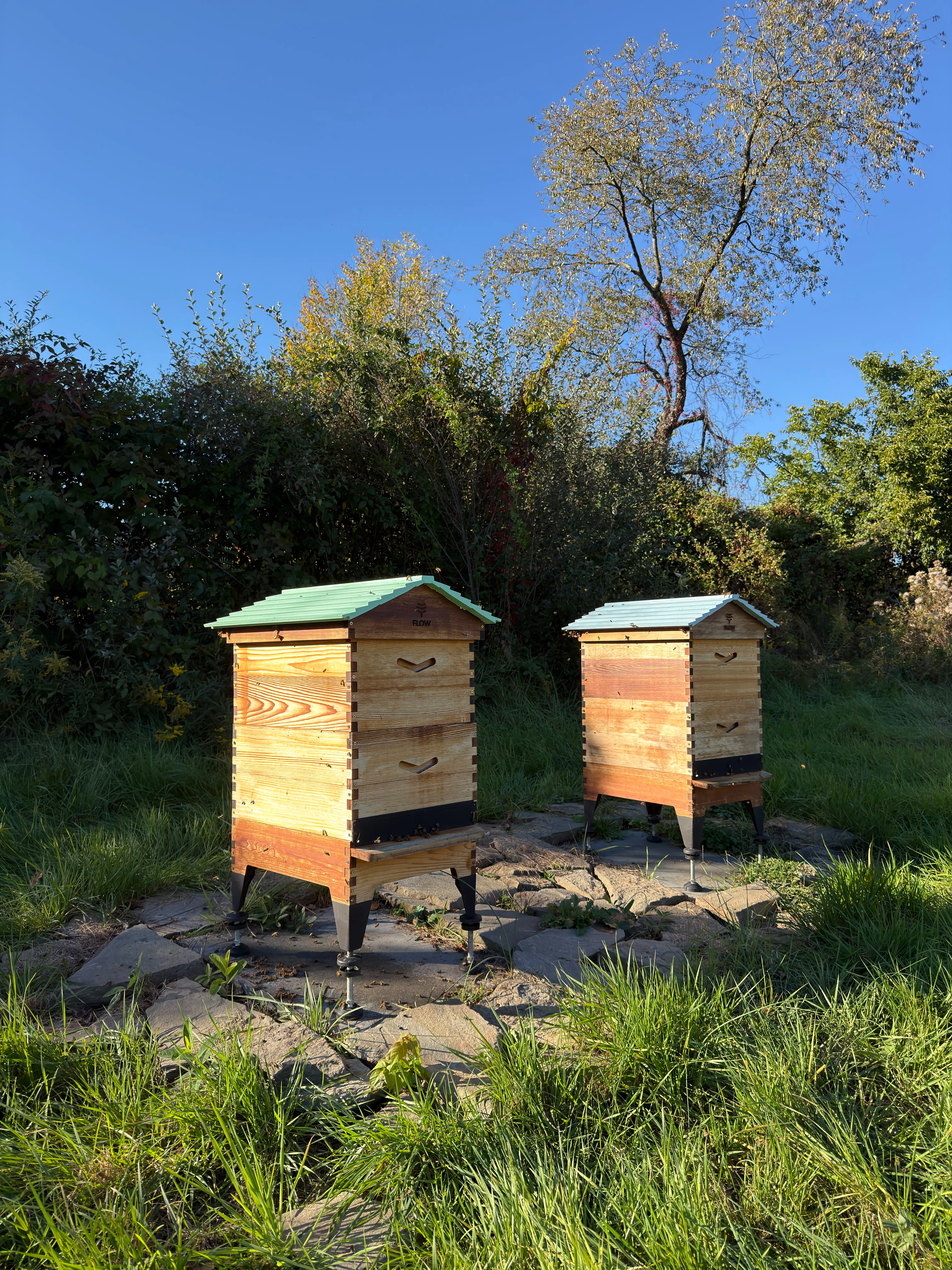 Hive update · October 18, 2026